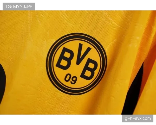 多特蒙德新赛季竞争力显著提升,前景备受关注 多特蒙德新赛季竞争力显著提升,前景备受关注